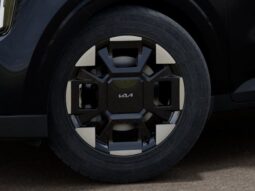 
 Kia Carnival full									