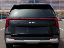 
 Kia Carnival full									