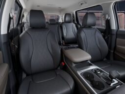 
 Kia Carnival full									