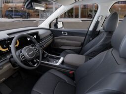 
 Kia Carnival full									
