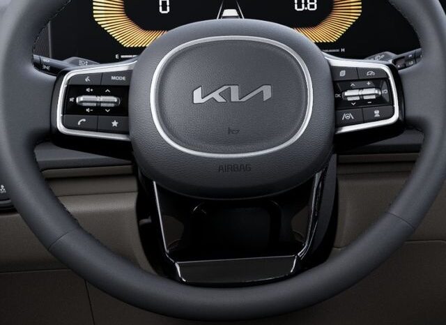 
 Kia Carnival full									