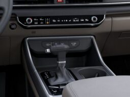 
 Kia Carnival full									