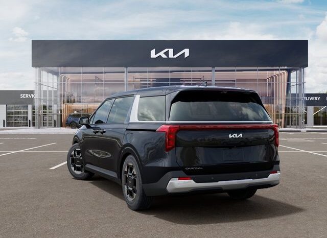 
 Kia Carnival full									