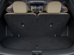 Kia Sorento full