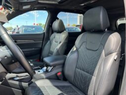 Kia Telluride full