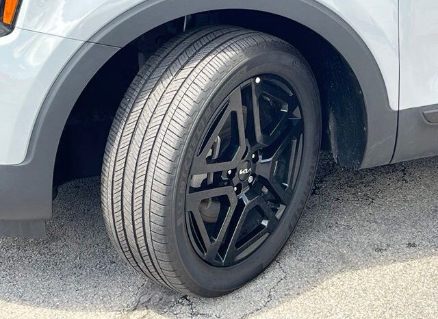 
 Kia Telluride full									