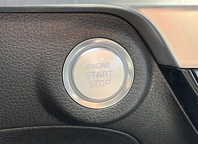 
 Kia Telluride full									