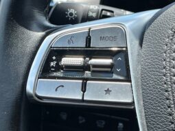 Kia Telluride full