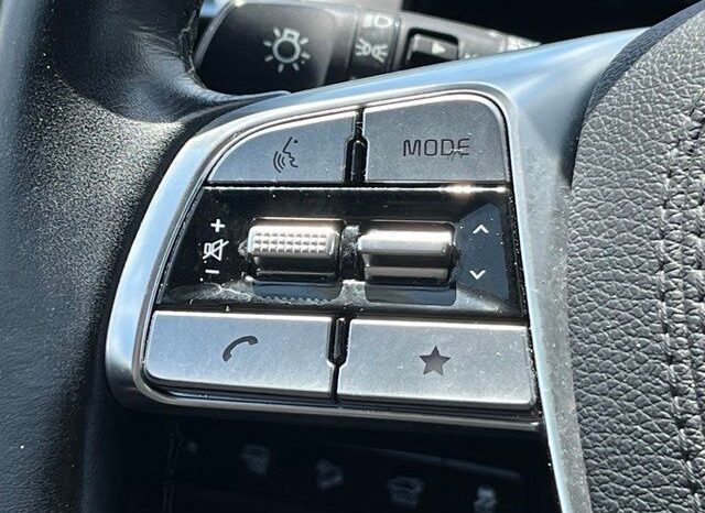 
 Kia Telluride full									