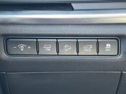 Kia Telluride full