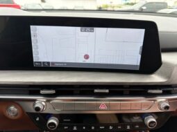 Kia Telluride full