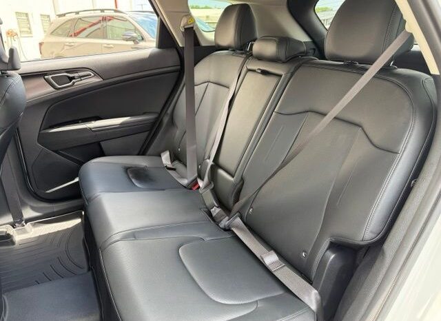 
 Kia Sportage Hybrid full									