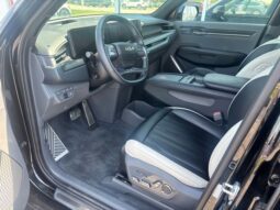 
 Kia EV9 full									