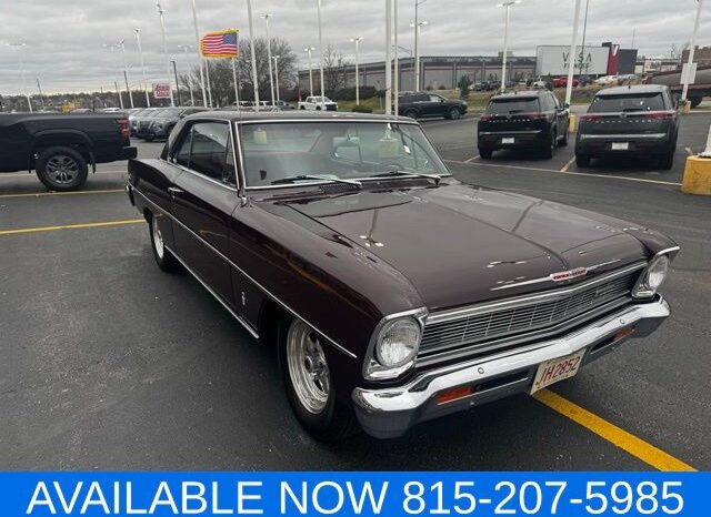 
 Chevrolet Nova full									