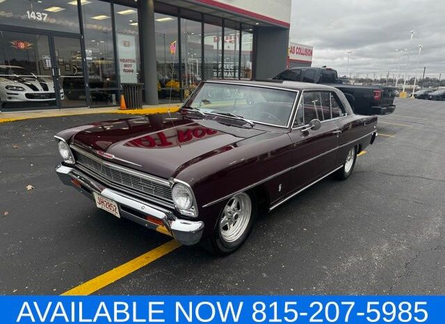 
 Chevrolet Nova full									