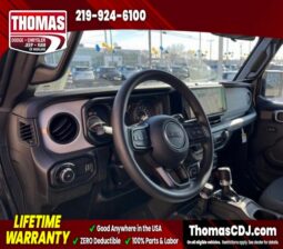
 Jeep Wrangler full									