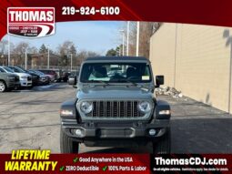 
 Jeep Wrangler full									