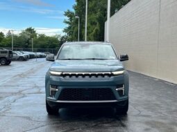 
 Jeep Grand Wagoneer full									