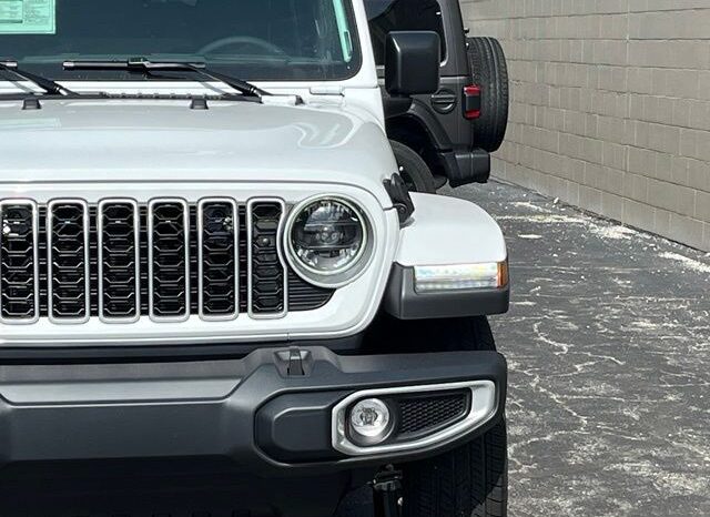 
 Jeep Wrangler full									