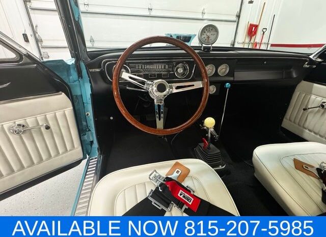 
 Ford Falcon full									