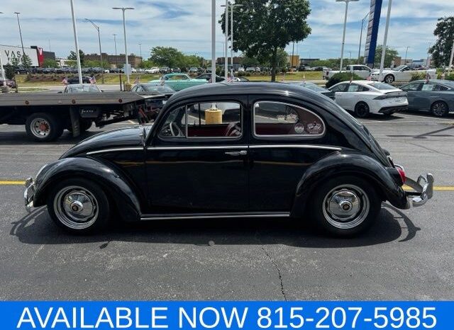 
 Volkswagen Beetle full									