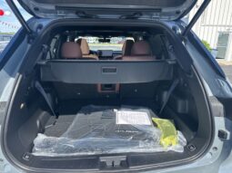 
 Mitsubishi Outlander full									