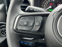 Jeep Wrangler full