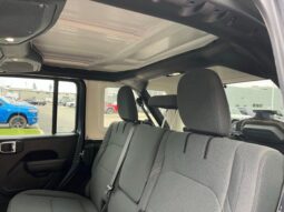 Jeep Wrangler full
