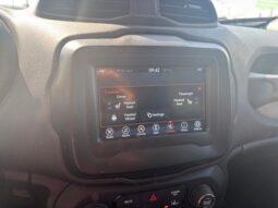 
 Jeep Renegade full									