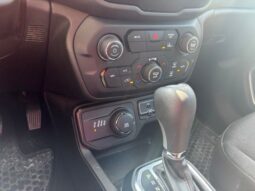 
 Jeep Renegade full									