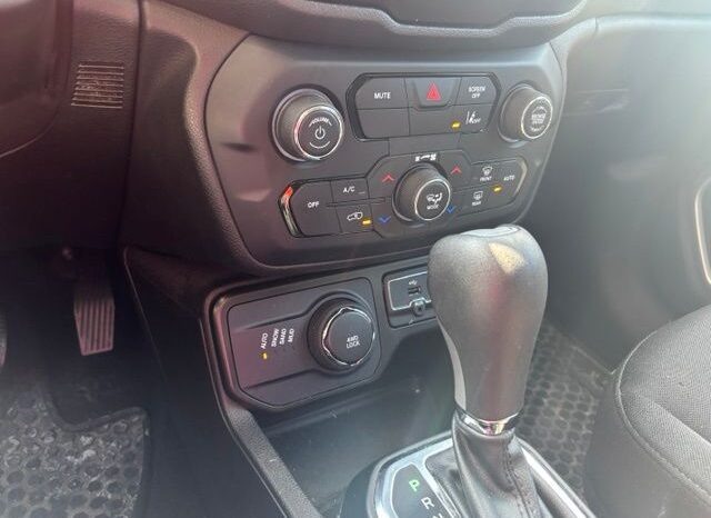 
 Jeep Renegade full									