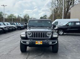 Jeep Wrangler full