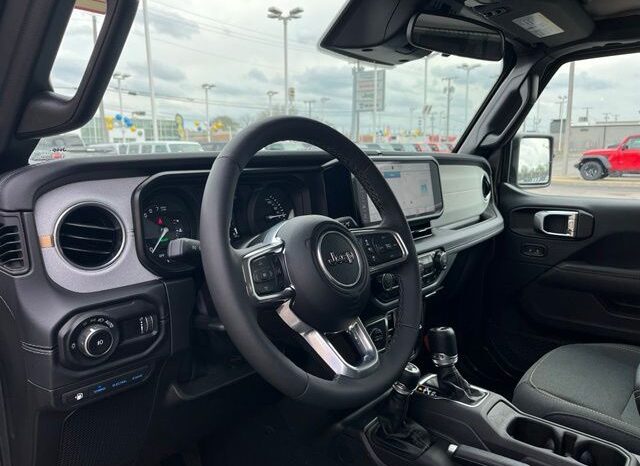 
 Jeep Wrangler full									