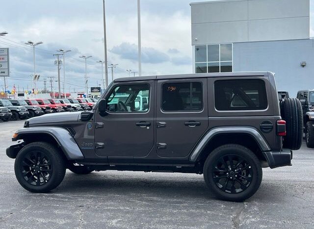 
 Jeep Wrangler full									