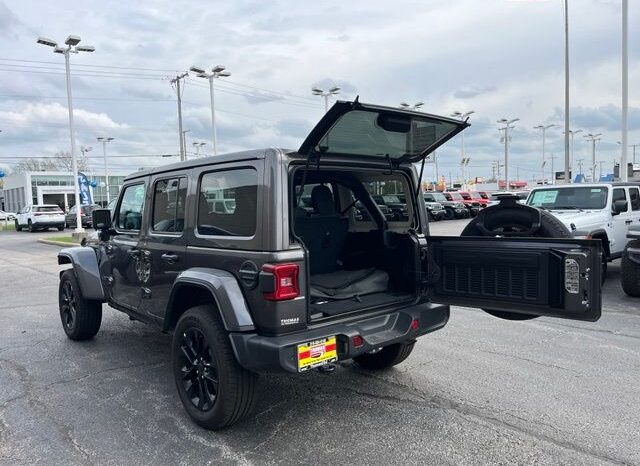 
 Jeep Wrangler full									