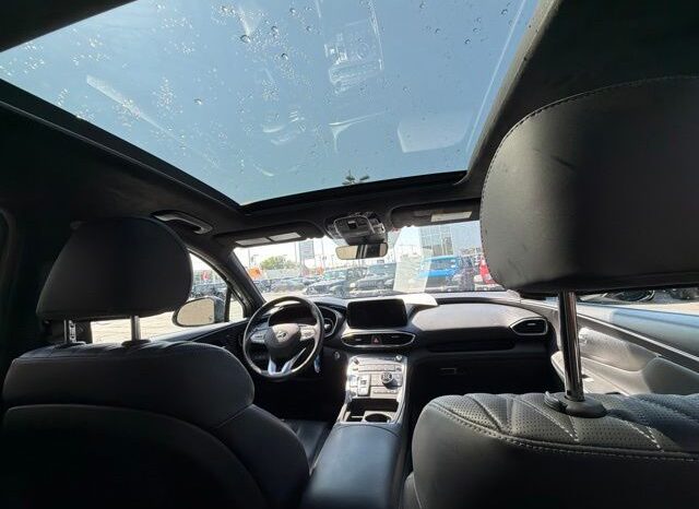 
 Hyundai Santa Fe full									