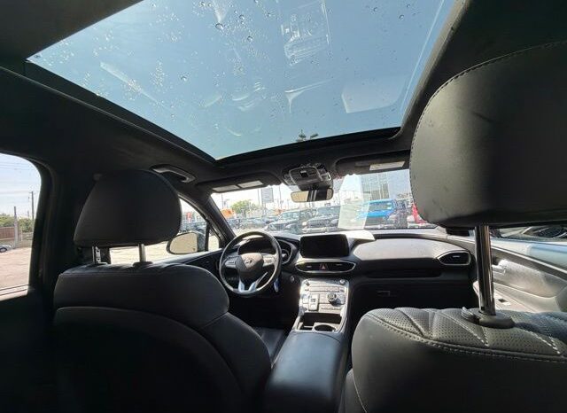 
 Hyundai Santa Fe full									