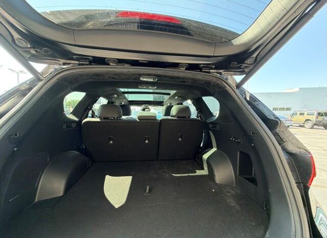 
 Hyundai Santa Fe full									