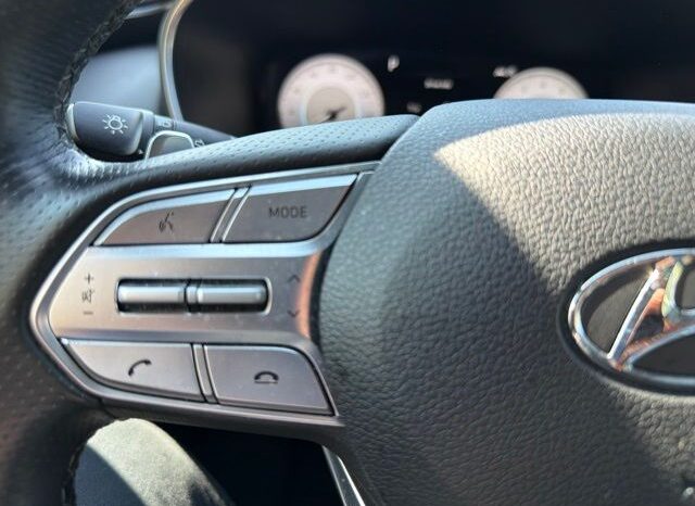 
 Hyundai Santa Fe full									