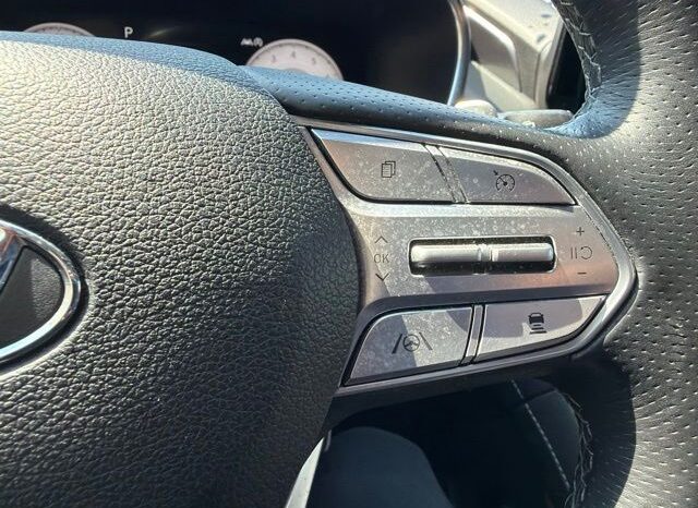 
 Hyundai Santa Fe full									