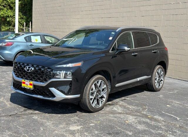 
 Hyundai Santa Fe full									