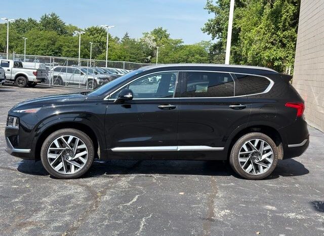 
 Hyundai Santa Fe full									