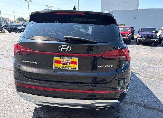
 Hyundai Santa Fe full									