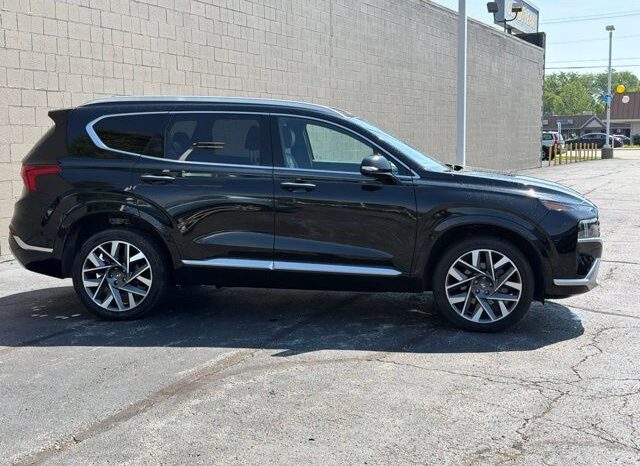 
 Hyundai Santa Fe full									