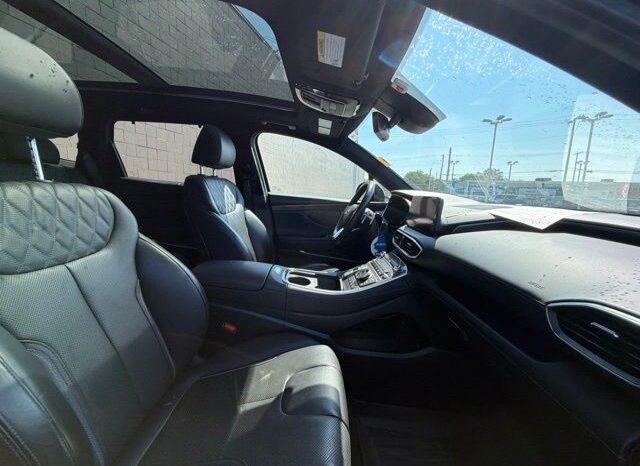 
 Hyundai Santa Fe full									