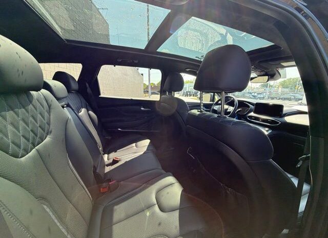 
 Hyundai Santa Fe full									