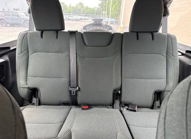 
 Jeep Wrangler full									