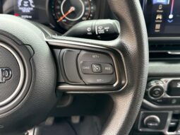 
 Jeep Wrangler full									