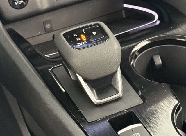 
 Nissan Rogue full									