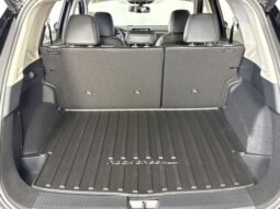 
 Nissan Rogue full									